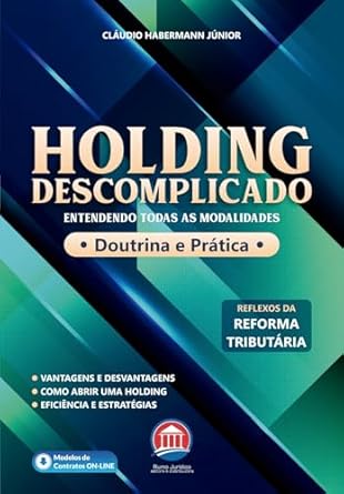 O que é: Holding