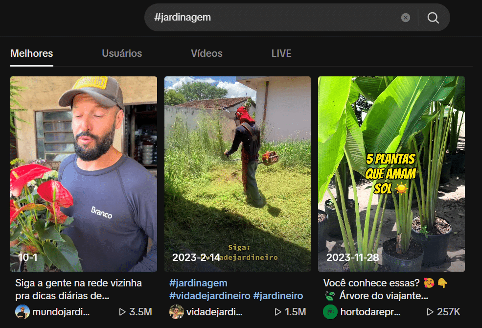 Uso de Hashtags para Categorizar e Aumentar a Visibilidade do Conteúdo